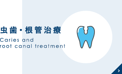 虫歯・根管治療 Caries and root canal treatment